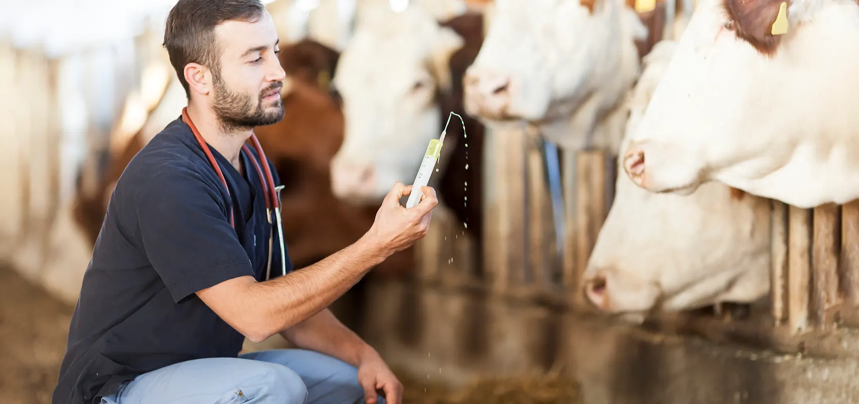 Cos'è la specializzazione in veterinaria per l'allevamento di animali?